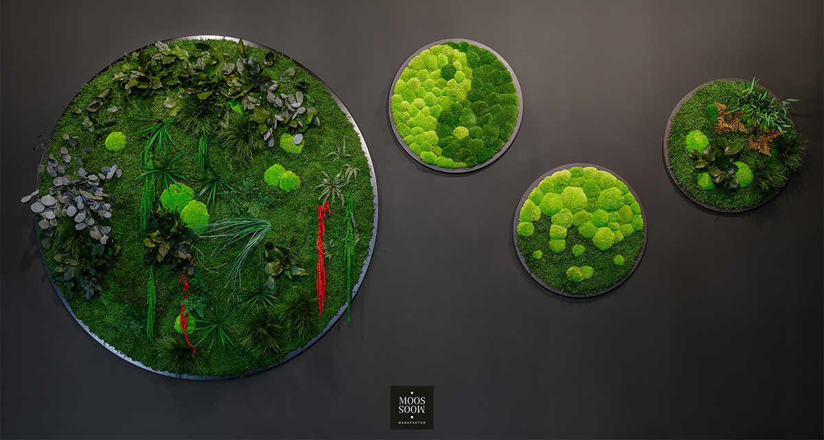 Biophilic Design mit raumhaus5